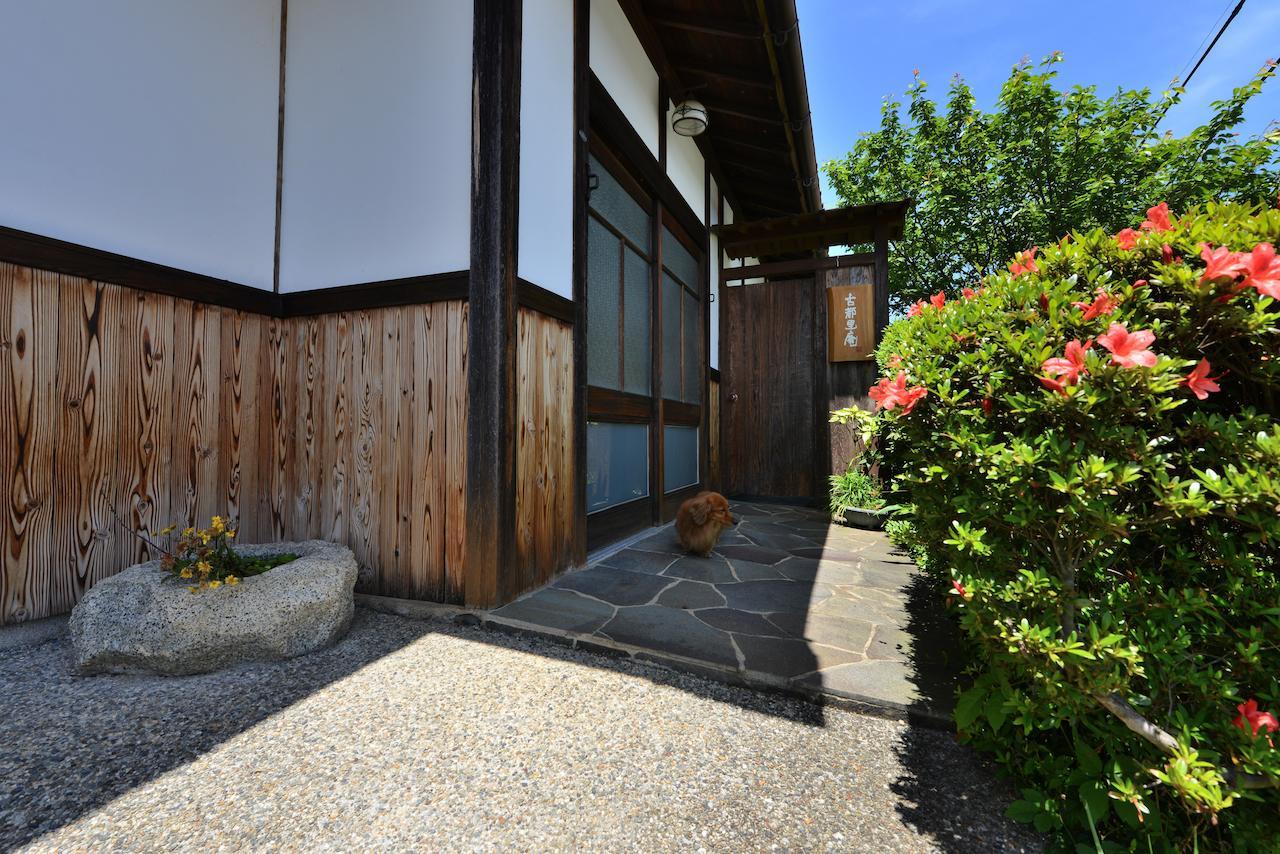 Kotorian Asuka Quarto foto